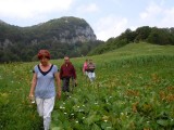 04. Zelengora